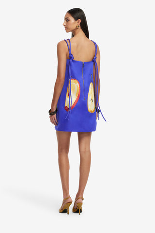 Exclusive LEO LIN Taylor Embroidered Mini Dress - Pear Print