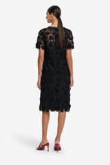 Sheridan Lace Midi Dress - Ebony Dress Midi