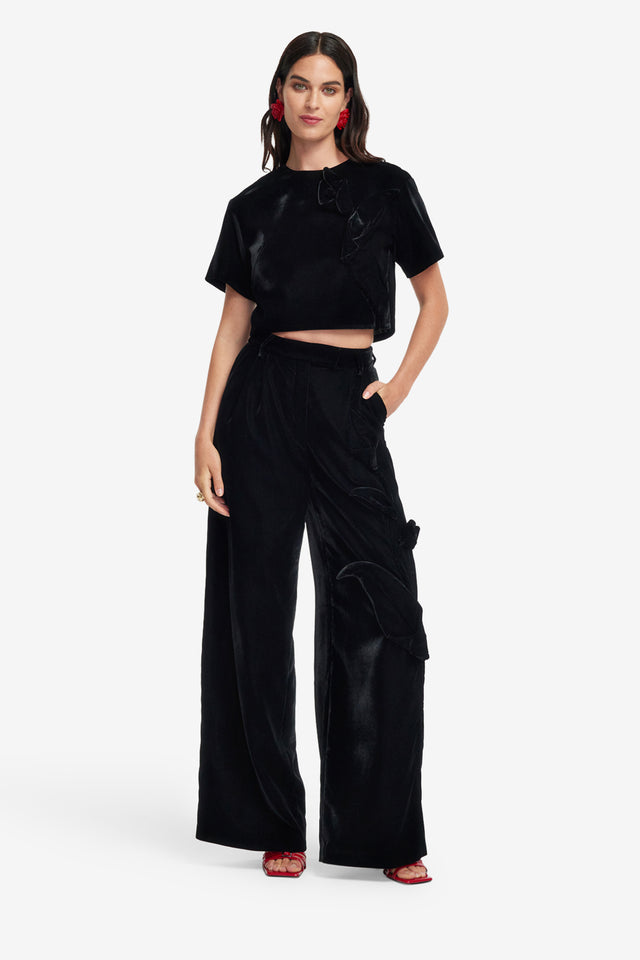 Exclusive LEO LIN Indie Velvet Sleeve Top - Ebony