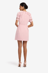 Aurelie Applique Short Sleeve Mini Dress - Rose Dress Mini