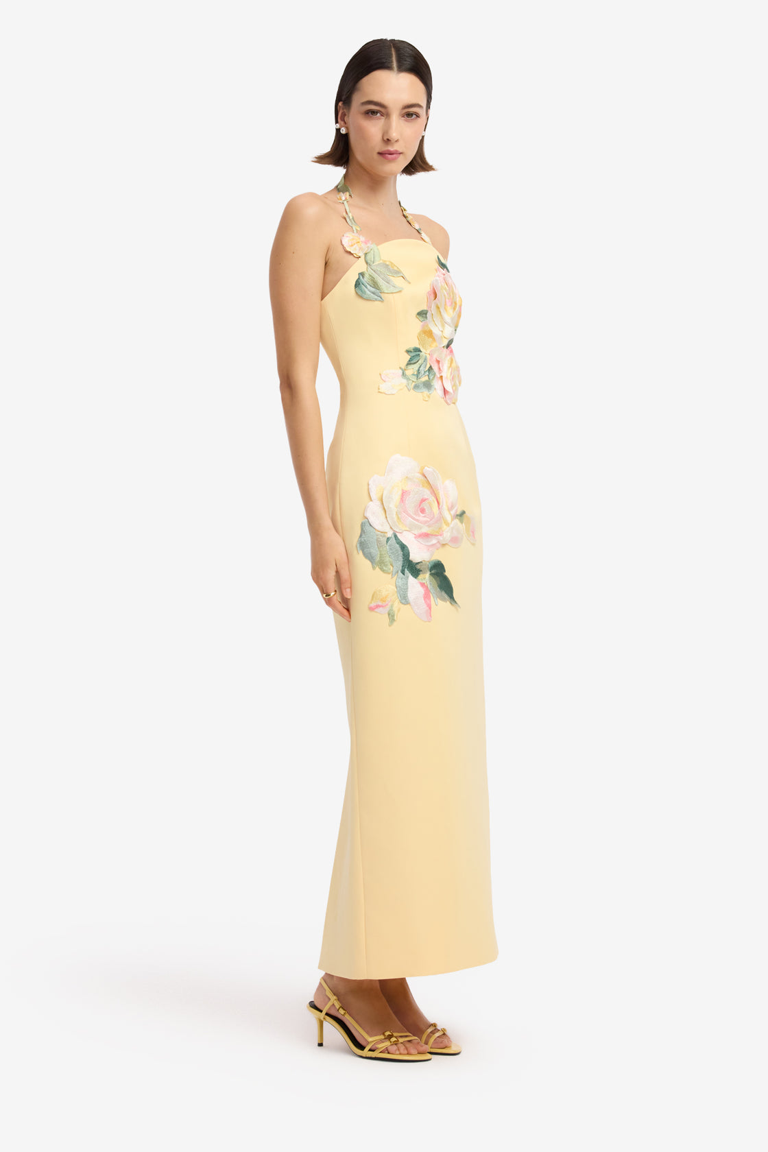 Ava Halterneck Applique Floral Bustier Maxi Dress - Rose Print in Butter Dress Maxi