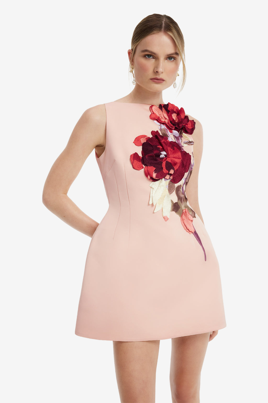 Ali Embroidered Boat Neck Mini Dress - Reverie Print Dress Mini
