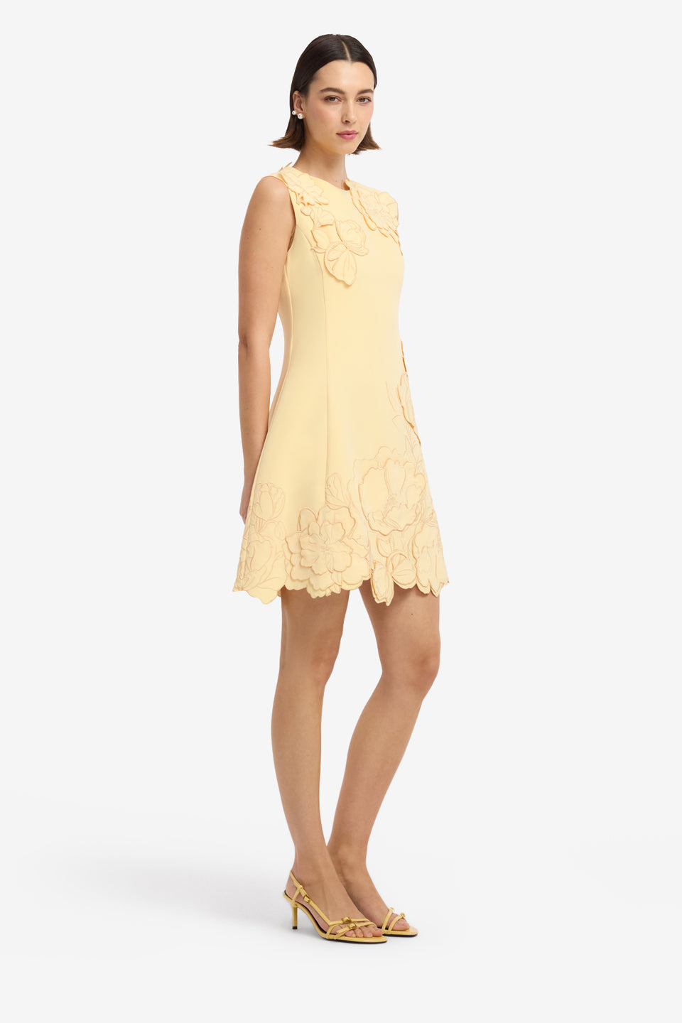 Chloe Applique Sleeveless Mini Dress - Butter Dress Mini