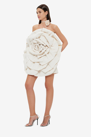 Bloom Rose Mini Dress - Vanilla Dress Mini