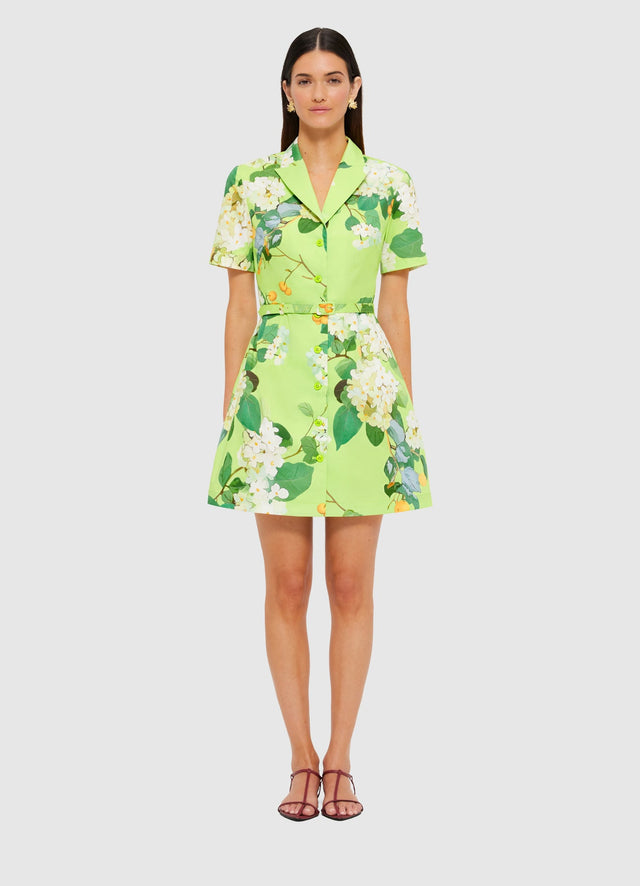 Exclusive Leo Lin Brigitte Mini Dress in Hydrangea in Lime