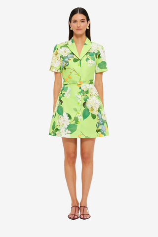 Exclusive Leo Lin Brigitte Mini Dress in Hydrangea in Lime