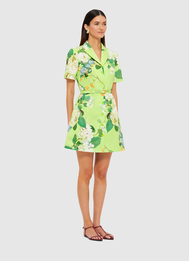 Exclusive Leo Lin Brigitte Mini Dress in Hydrangea in Lime