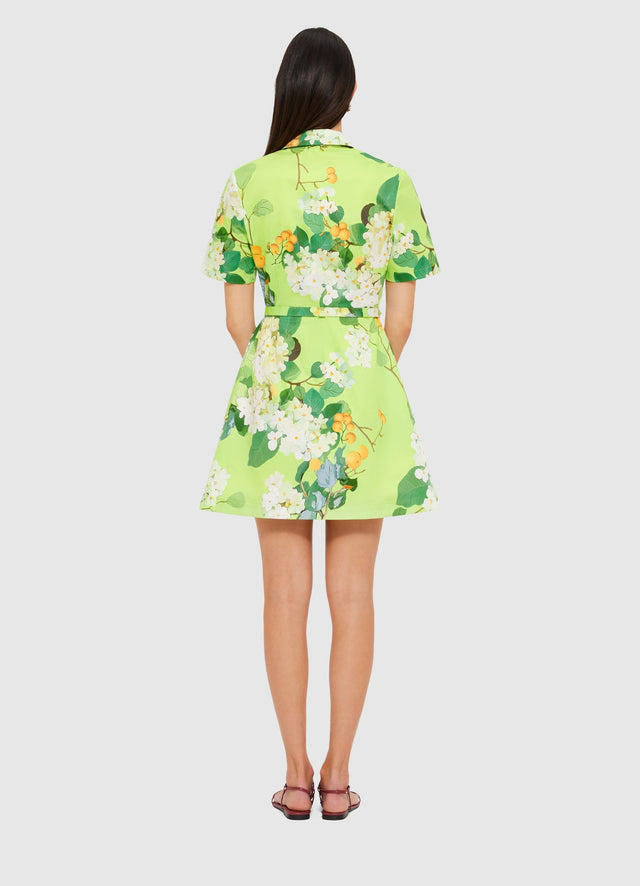 Exclusive Leo Lin Brigitte Mini Dress in Hydrangea in Lime