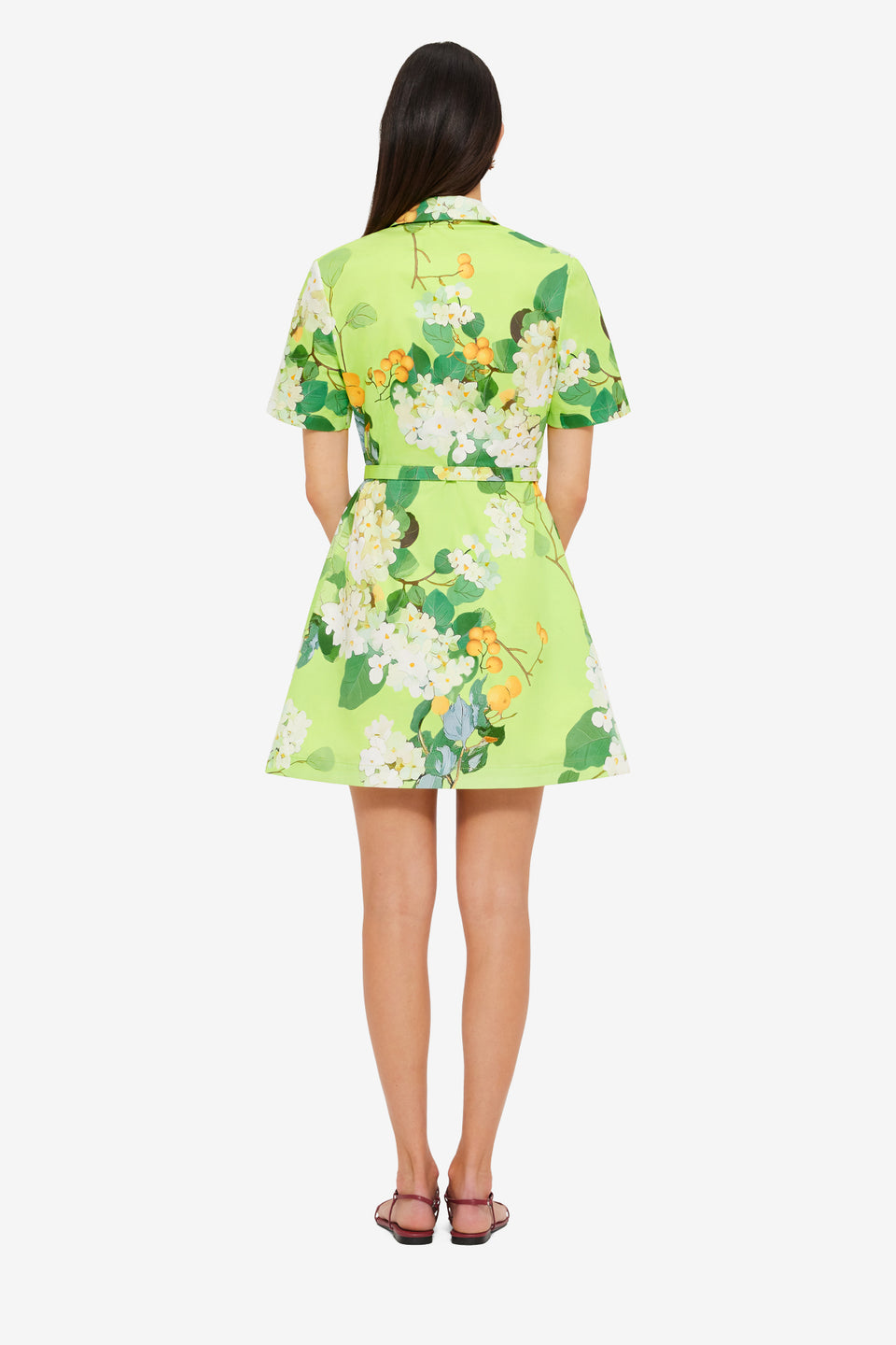 Exclusive Leo Lin Brigitte Mini Dress in Hydrangea in Lime