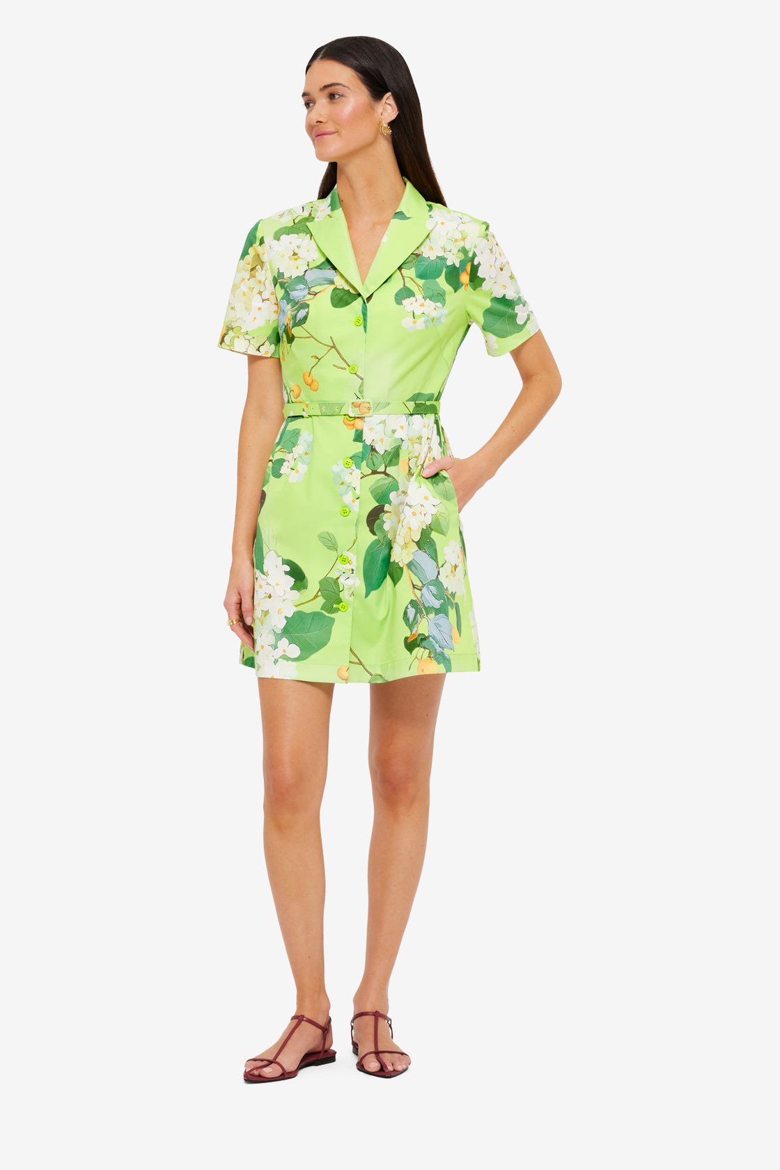 Exclusive Leo Lin Brigitte Mini Dress in Hydrangea in Lime
