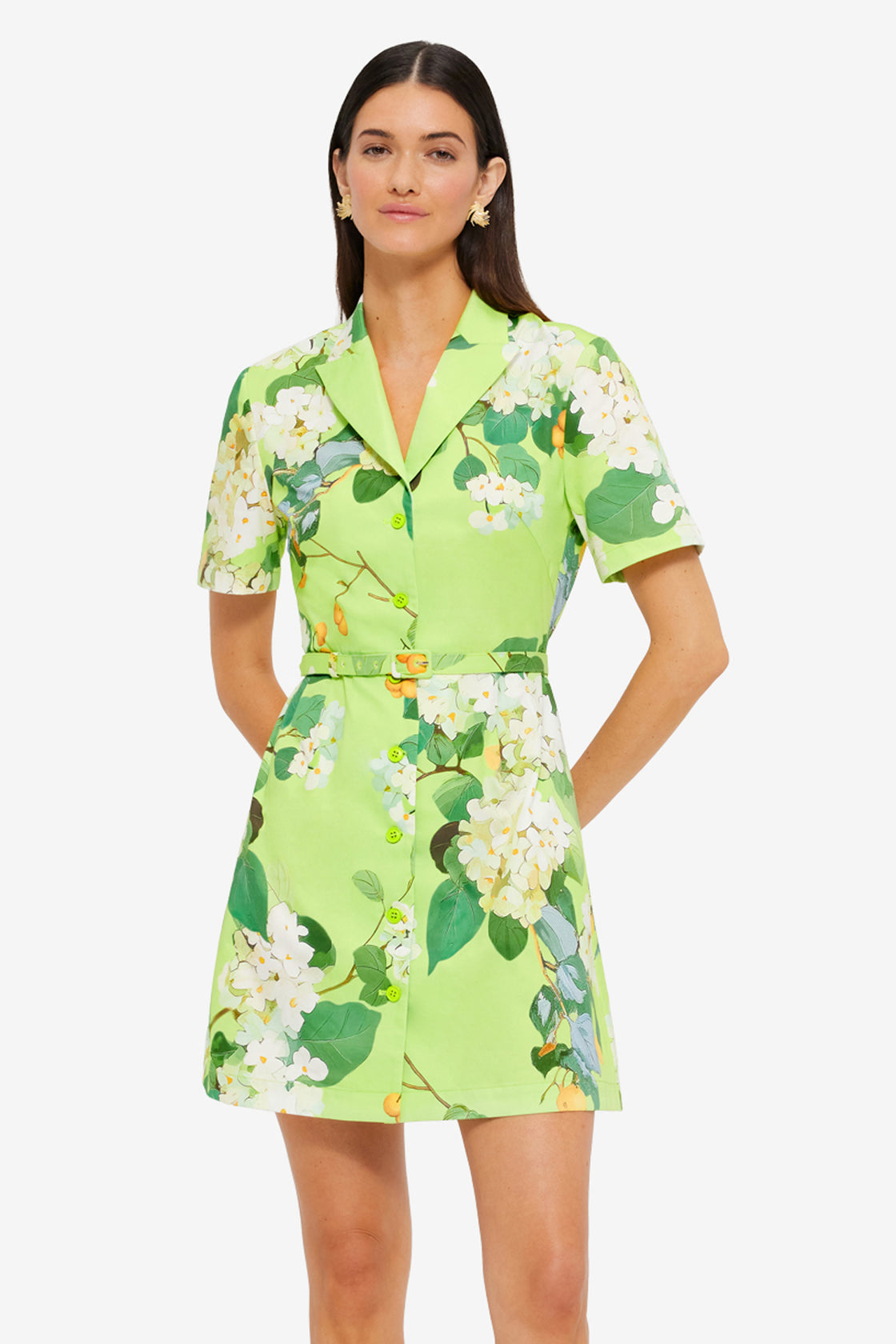 Exclusive Leo Lin Brigitte Mini Dress in Hydrangea in Lime