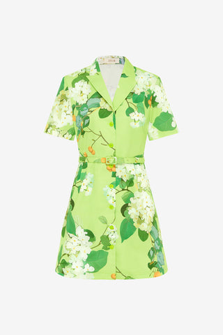 Exclusive Leo Lin Brigitte Mini Dress in Hydrangea in Lime
