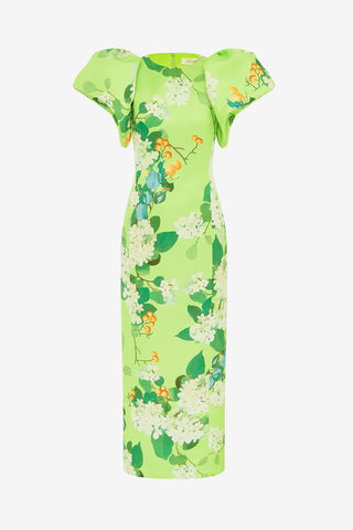Exclusive Leo Lin Lucinda Maxi Dress in Hydrangea Print in Lime