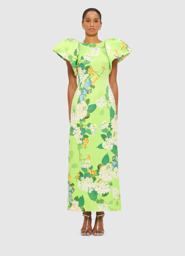 Exclusive Leo Lin Lucinda Maxi Dress in Hydrangea Print in Lime