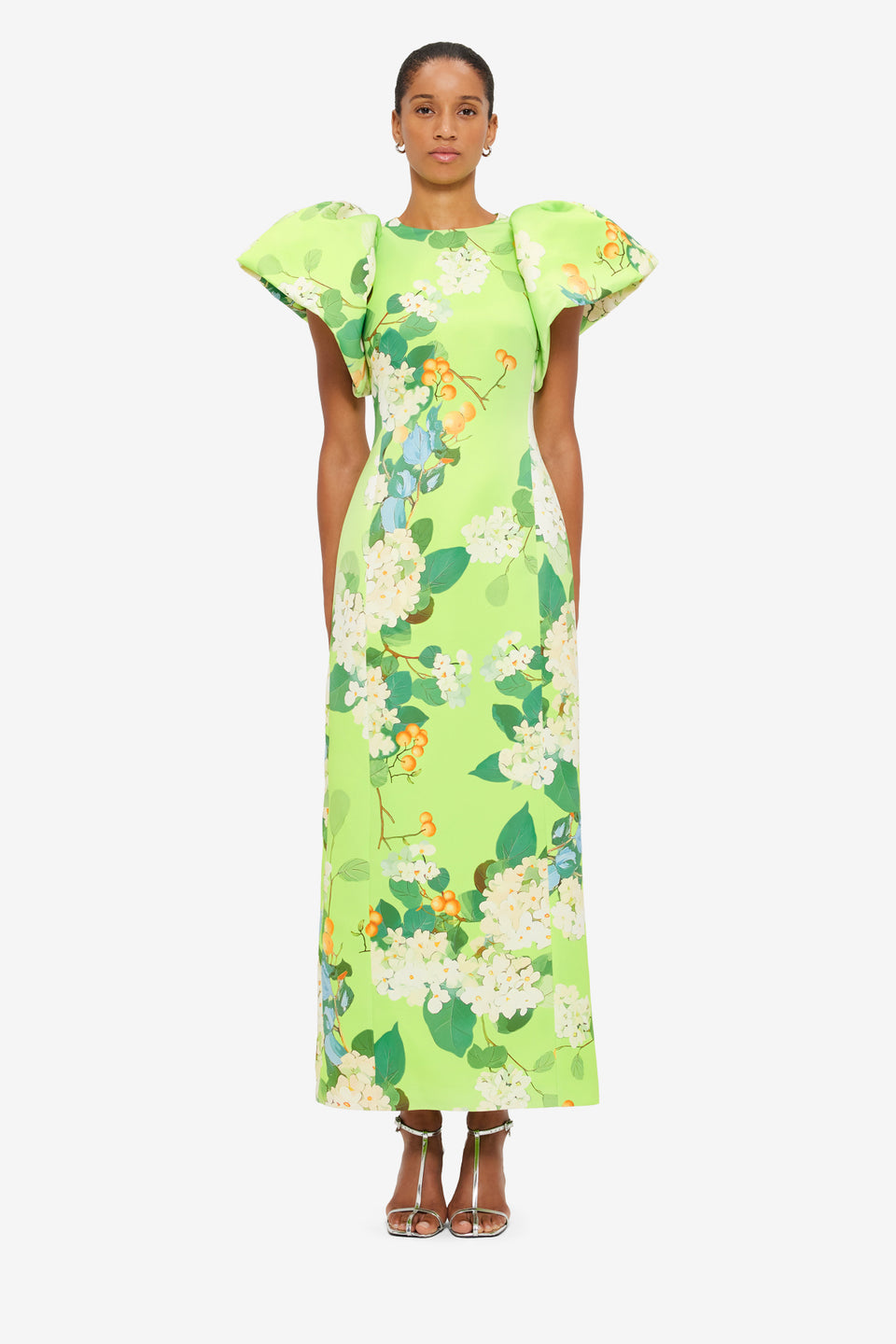 Exclusive Leo Lin Lucinda Maxi Dress in Hydrangea Print in Lime
