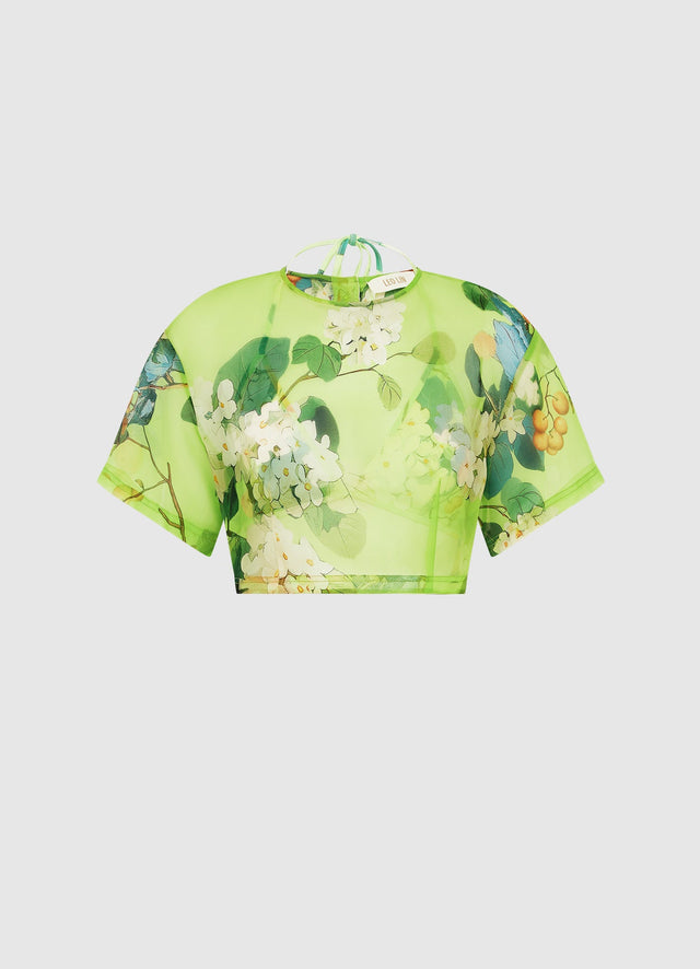 Exclusive Leo Lin Indie Sleeve Top in Hydrangea in Lime