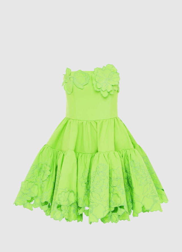 Exclusive Leo Lin Skye Appliqué Bustier Mini Dress in Lime