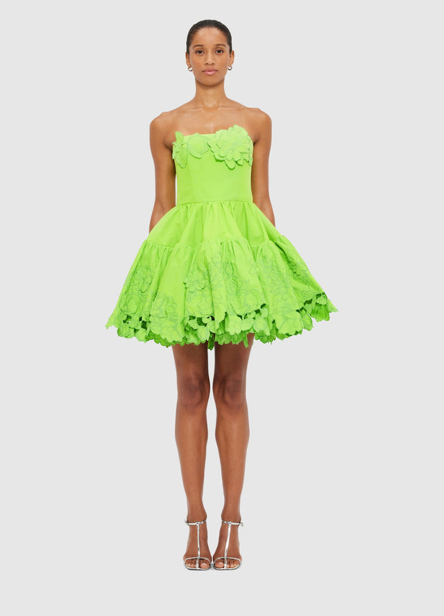 Exclusive Leo Lin Skye Appliqué Bustier Mini Dress in Lime