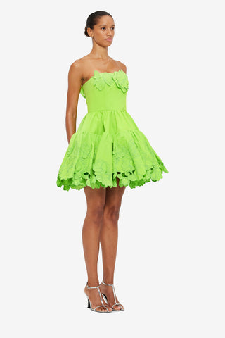 Exclusive Leo Lin Skye Appliqué Bustier Mini Dress in Lime