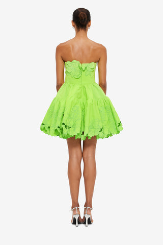 Exclusive Leo Lin Skye Appliqué Bustier Mini Dress in Lime