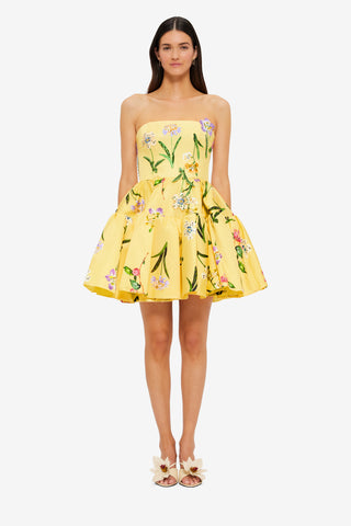 Exclusive Leo Lin Skye Bustier Mini Dress in Wild Flower in Sorbet