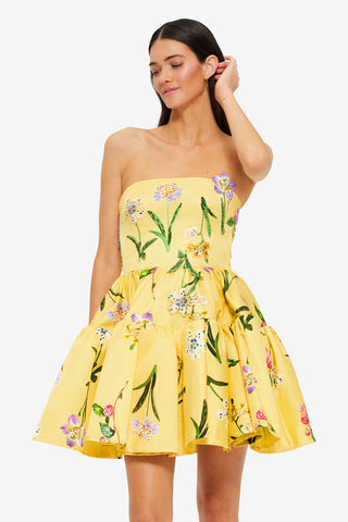 Exclusive Leo Lin Skye Bustier Mini Dress in Wild Flower in Sorbet