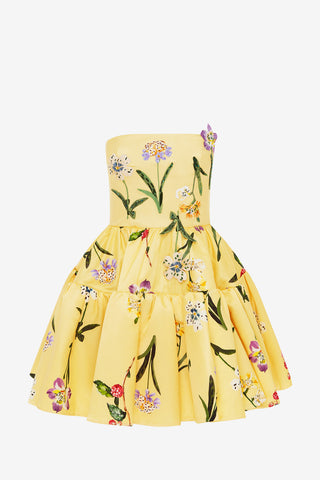 Exclusive Leo Lin Skye Bustier Mini Dress in Wild Flower in Sorbet