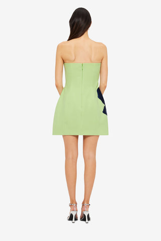 Exclusive Leo Lin Roselle Embroidered Bustier Mini Dress in Hibiscus in Matcha