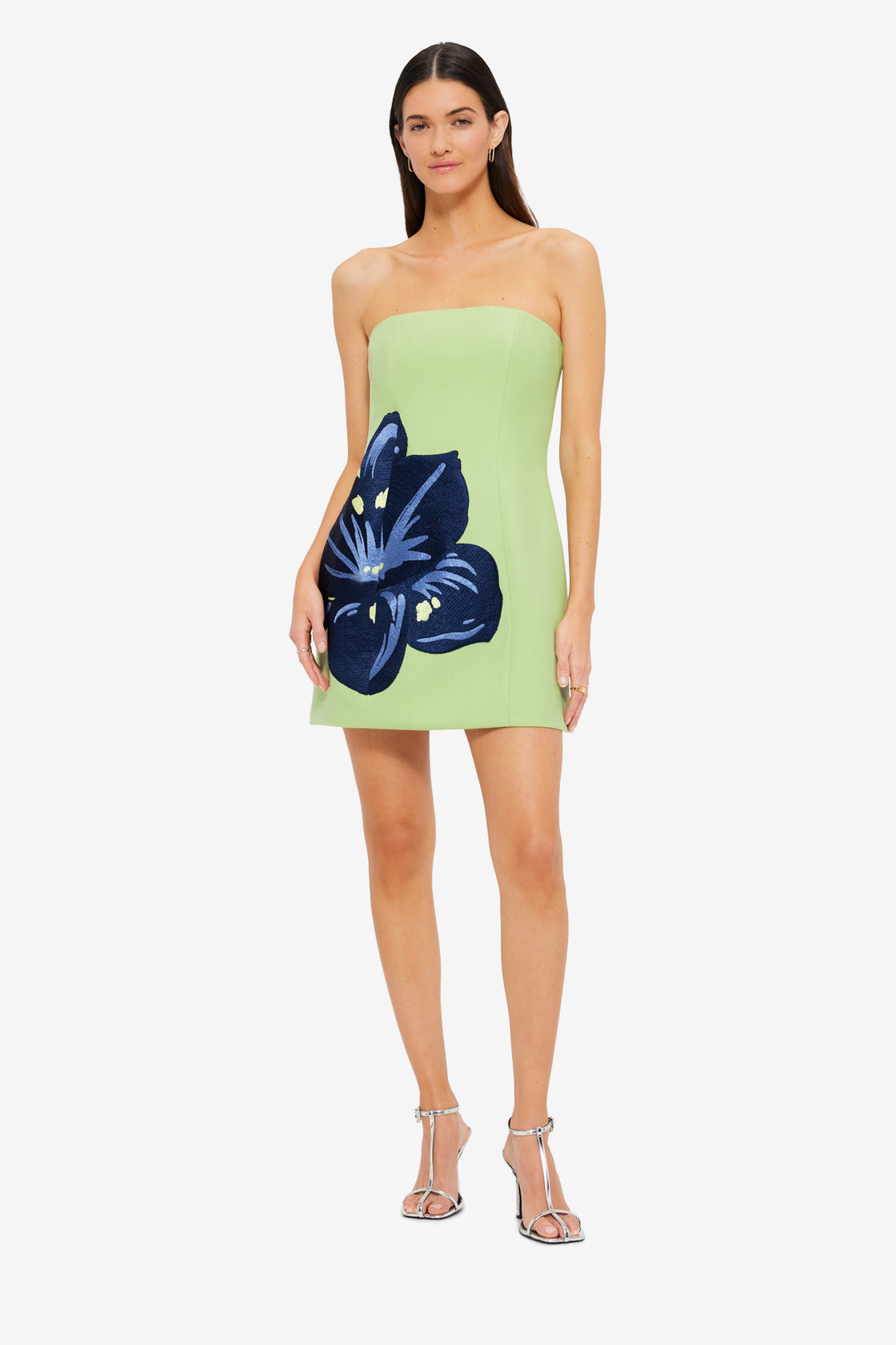 Exclusive Leo Lin Roselle Embroidered Bustier Mini Dress in Hibiscus in Matcha