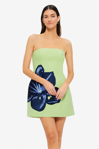 Exclusive Leo Lin Roselle Embroidered Bustier Mini Dress in Hibiscus in Matcha