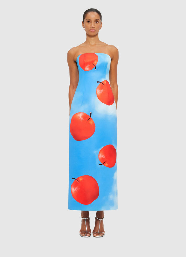 Exclusive Leo Lin Rayna Bustier Maxi Dress in Apple Print