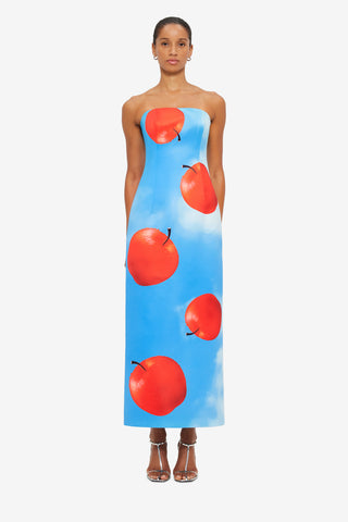 Exclusive Leo Lin Rayna Bustier Maxi Dress in Apple Print