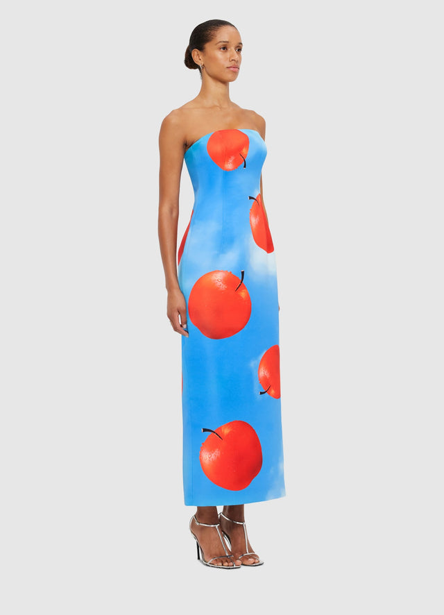 Exclusive Leo Lin Rayna Bustier Maxi Dress in Apple Print