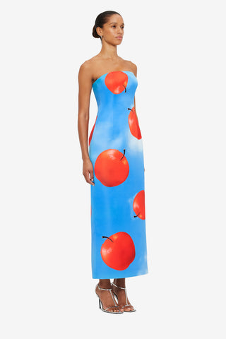 Exclusive Leo Lin Rayna Bustier Maxi Dress in Apple Print