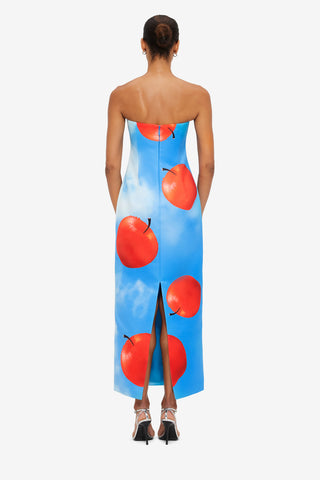 Exclusive Leo Lin Rayna Bustier Maxi Dress in Apple Print