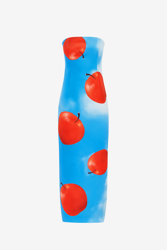 Exclusive Leo Lin Rayna Bustier Maxi Dress in Apple Print
