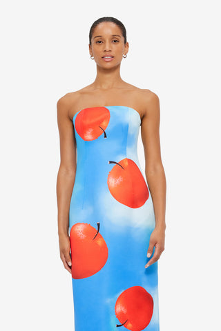 Exclusive Leo Lin Rayna Bustier Maxi Dress in Apple Print