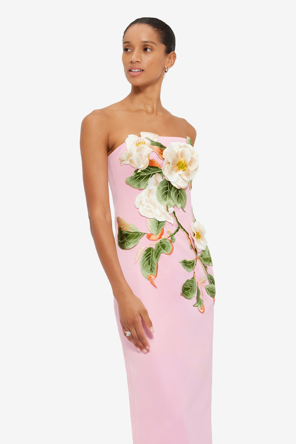 Rayna Appliqué Floral Bustier Maxi Dress in Camelia Print