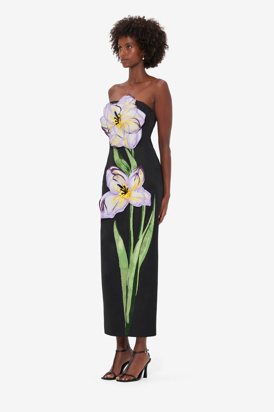 Exclusive Leo Lin Rayna Appliqué Floral Bustier Maxi Dress - Iris Print in Ebony