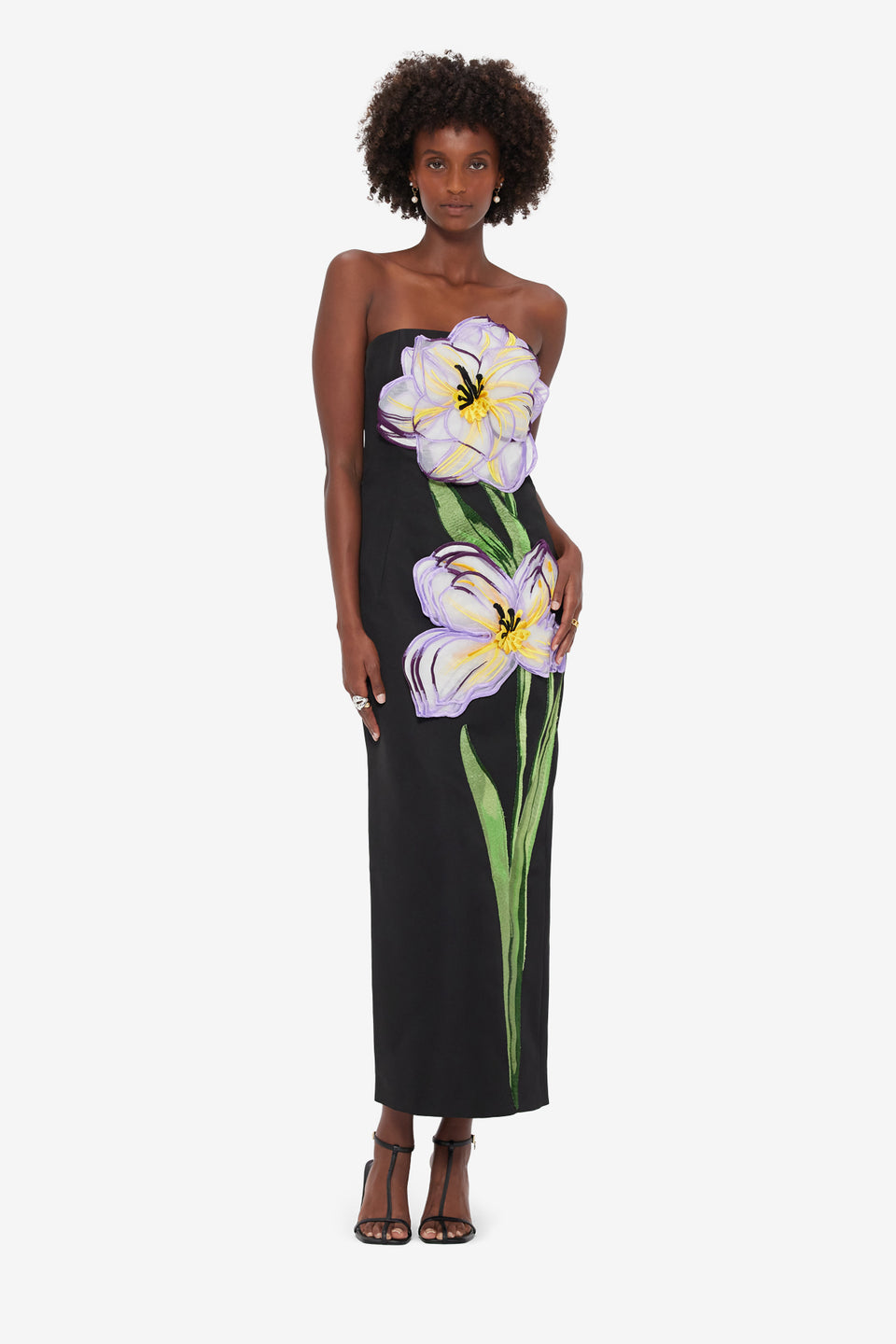 Rayna Appliqué Floral Maxi Dress - Iris Print in Ebony