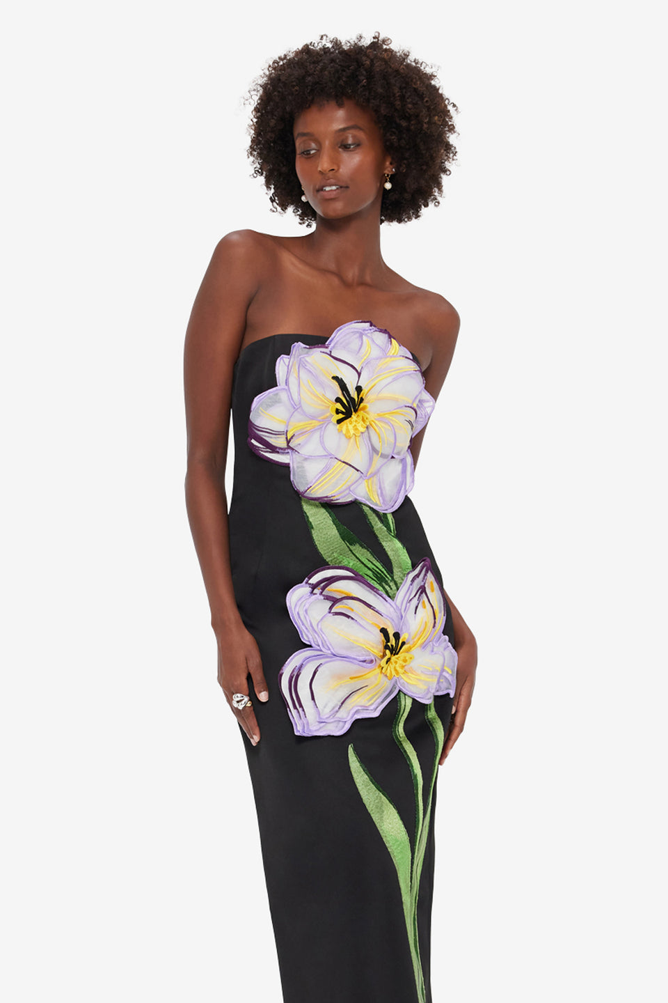 Exclusive Leo Lin Rayna Appliqué Floral Bustier Maxi Dress - Iris Print in Ebony