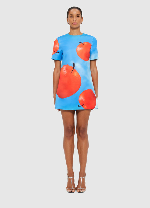 Exclusive Leo Lin Alexa T-Shirt Mini Dress - Apple Print