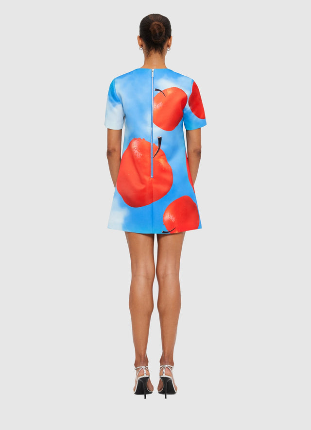 Exclusive Leo Lin Alexa T-Shirt Mini Dress - Apple Print