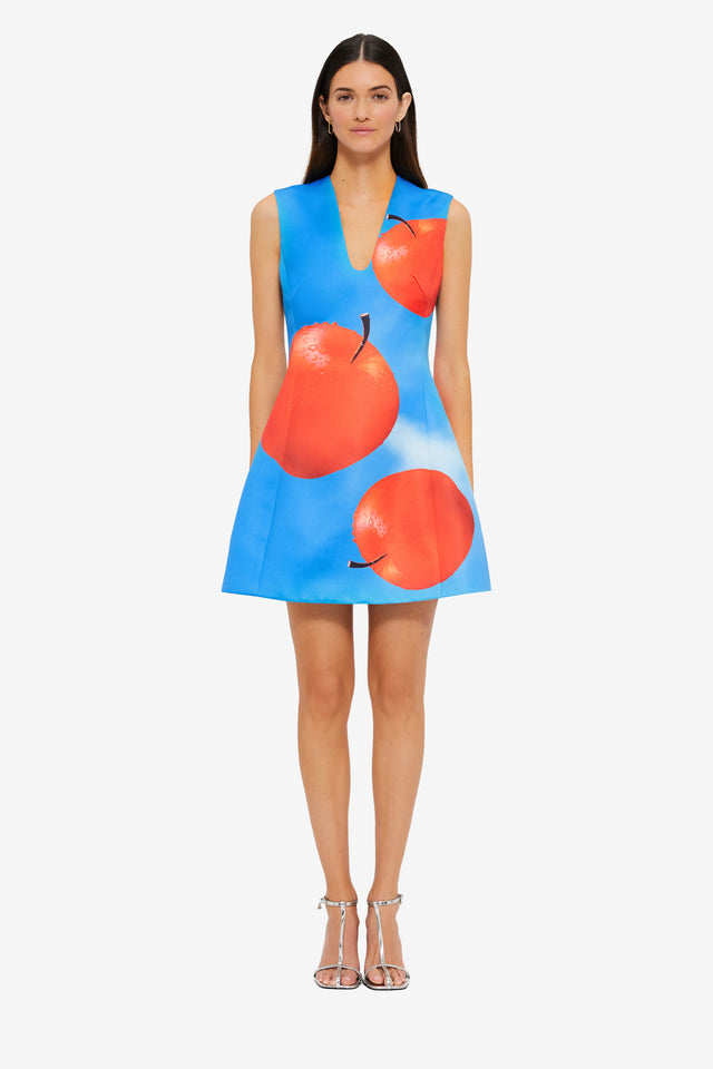 Exclusive LEO LIN Briana V Neck Mini Dress in Apple Print