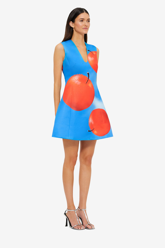 Exclusive LEO LIN Briana V Neck Mini Dress in Apple Print