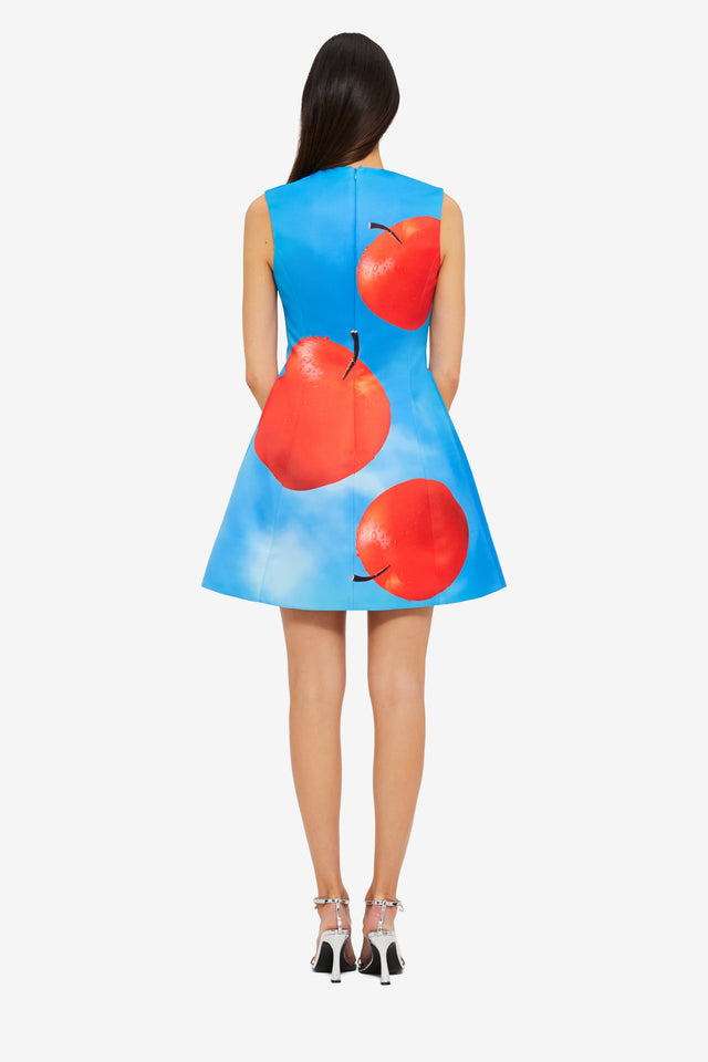 Exclusive LEO LIN Briana V Neck Mini Dress in Apple Print