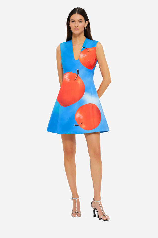 Exclusive LEO LIN Briana V Neck Mini Dress in Apple Print