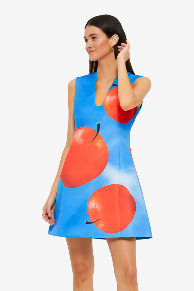 Exclusive LEO LIN Briana V Neck Mini Dress in Apple Print