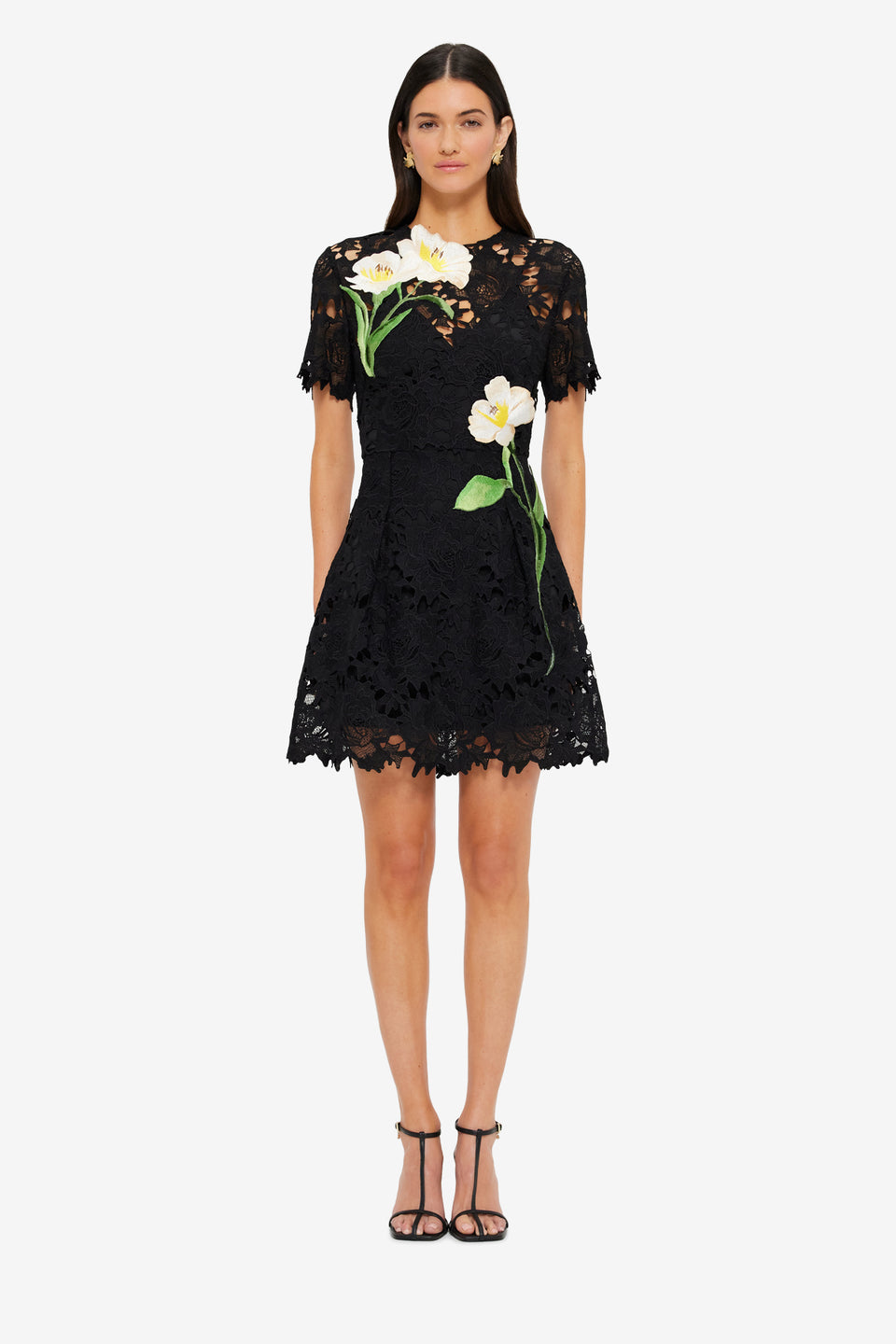 Exclusive Leo Lin Margot Embroidered Lace Mini Dress in Ebony