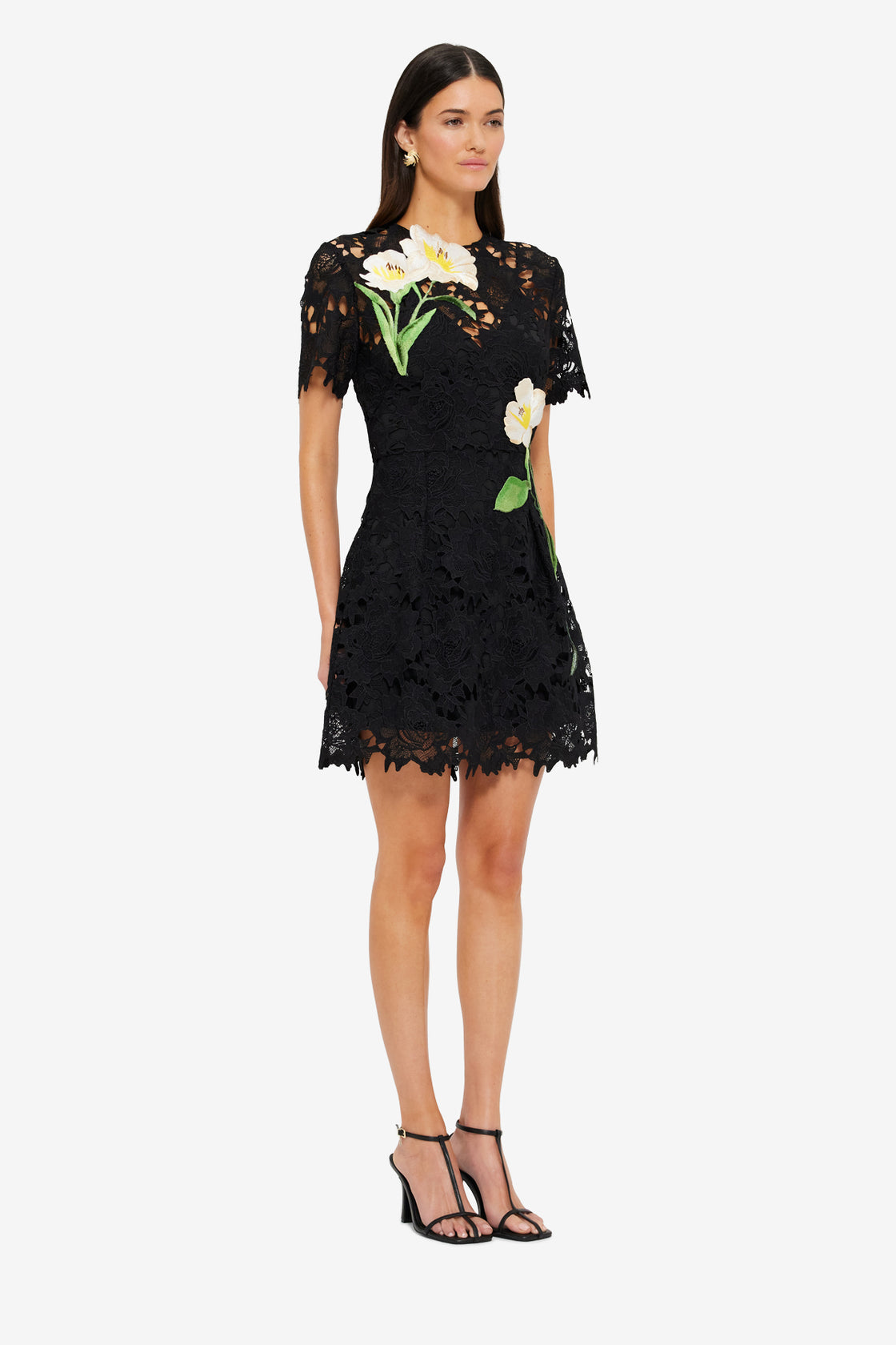 Exclusive Leo Lin Margot Embroidered Lace Mini Dress in Ebony